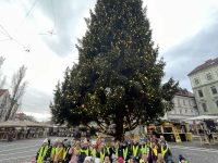 Obisk okrašene Ljubljane